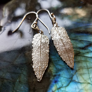 Sage Leaf Earrings